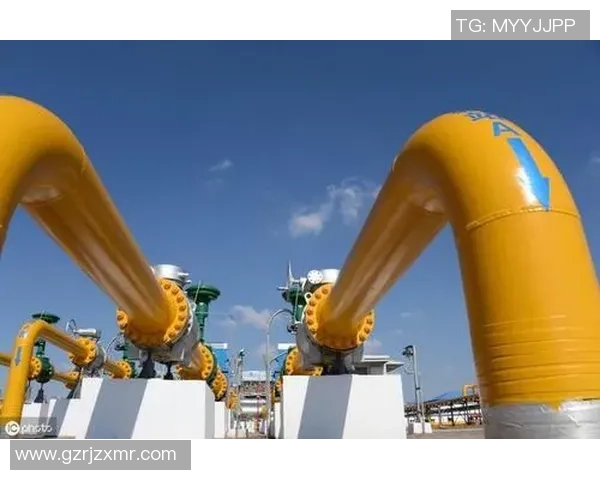 数据分析:LNG的比赛经验表现 数据分析:LNG的比赛经验表现